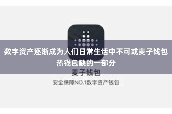 数字资产逐渐成为人们日常生活中不可或麦子钱包热钱包缺的一部分