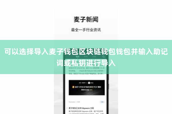 可以选择导入麦子钱包区块链钱包钱包并输入助记词或私钥进行导入