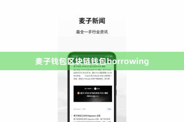 麦子钱包区块链钱包borrowing