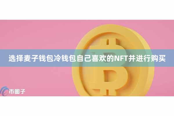 选择麦子钱包冷钱包自己喜欢的NFT并进行购买