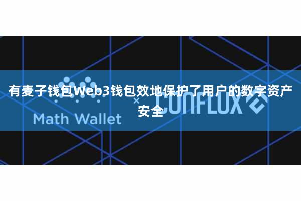 有麦子钱包Web3钱包效地保护了用户的数字资产安全