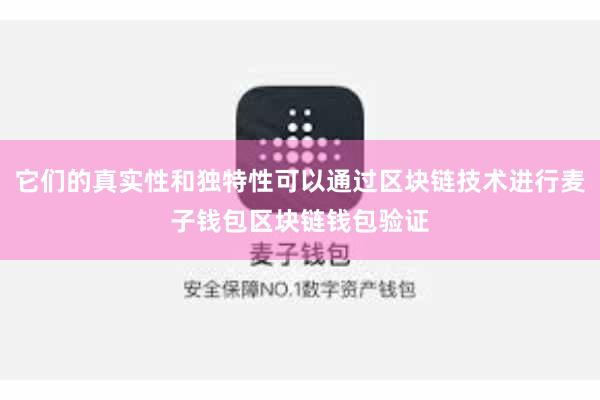 它们的真实性和独特性可以通过区块链技术进行麦子钱包区块链钱包验证