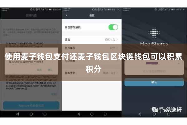 使用麦子钱包支付还麦子钱包区块链钱包可以积累积分