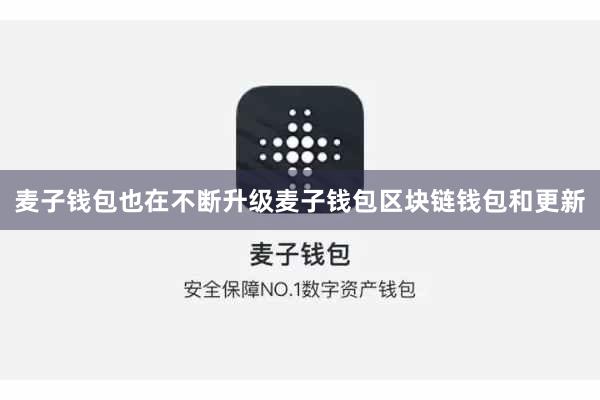 麦子钱包也在不断升级麦子钱包区块链钱包和更新