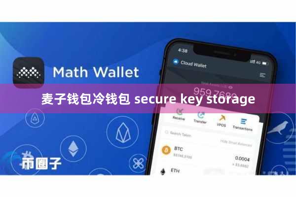 麦子钱包冷钱包 secure key storage