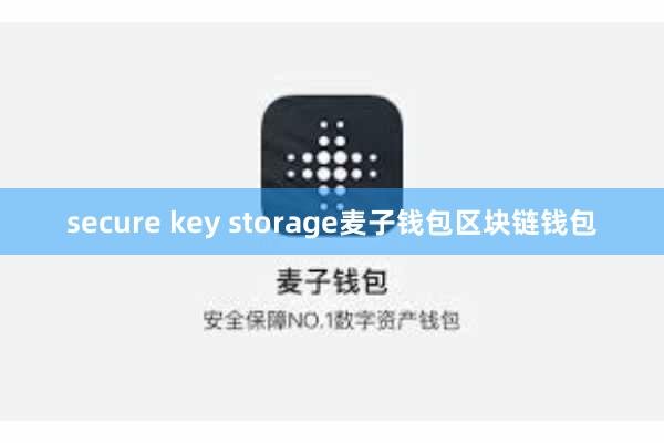 secure key storage麦子钱包区块链钱包