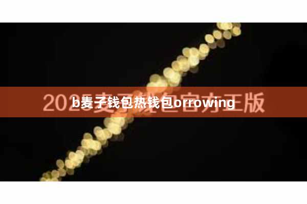 b麦子钱包热钱包orrowing