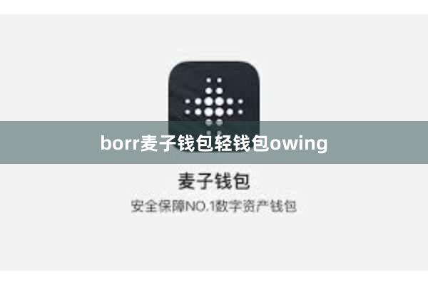 borr麦子钱包轻钱包owing