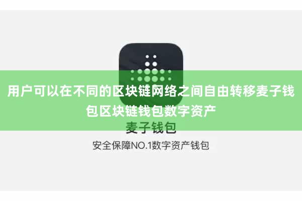 用户可以在不同的区块链网络之间自由转移麦子钱包区块链钱包数字资产