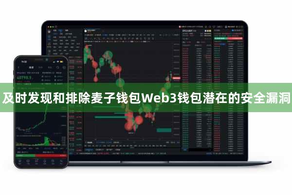 及时发现和排除麦子钱包Web3钱包潜在的安全漏洞