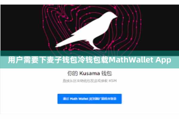 用户需要下麦子钱包冷钱包载MathWallet App