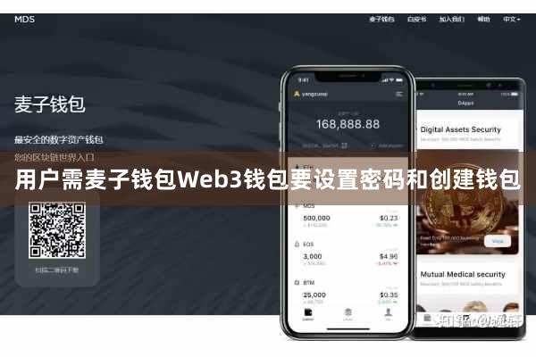 用户需麦子钱包Web3钱包要设置密码和创建钱包