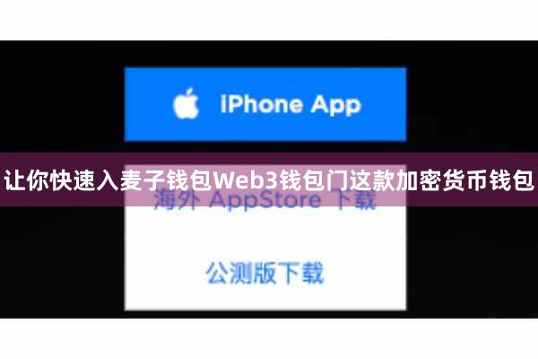 让你快速入麦子钱包Web3钱包门这款加密货币钱包