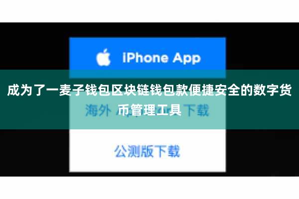 成为了一麦子钱包区块链钱包款便捷安全的数字货币管理工具