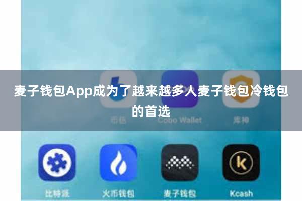 麦子钱包App成为了越来越多人麦子钱包冷钱包的首选