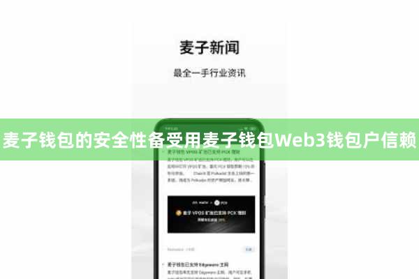 麦子钱包的安全性备受用麦子钱包Web3钱包户信赖