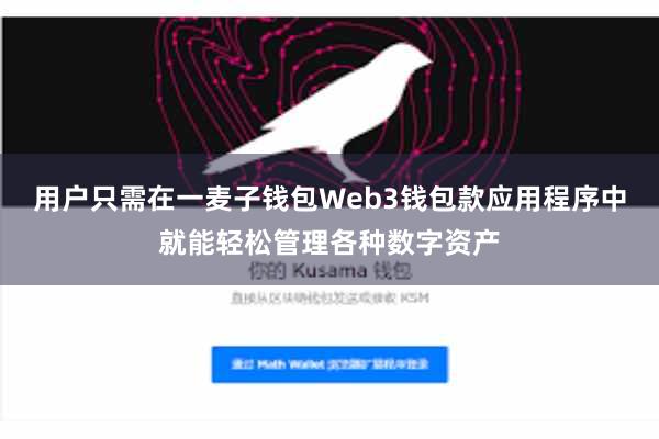 用户只需在一麦子钱包Web3钱包款应用程序中就能轻松管理各种数字资产