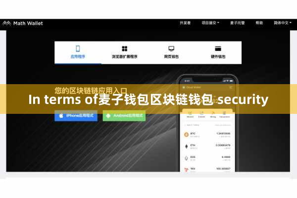 In terms of麦子钱包区块链钱包 security