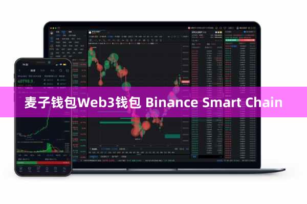 麦子钱包Web3钱包 Binance Smart Chain