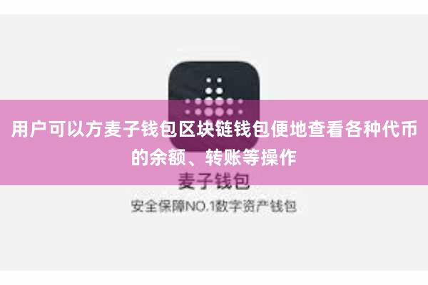 用户可以方麦子钱包区块链钱包便地查看各种代币的余额、转账等操作