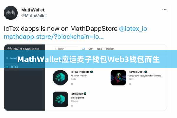 MathWallet应运麦子钱包Web3钱包而生