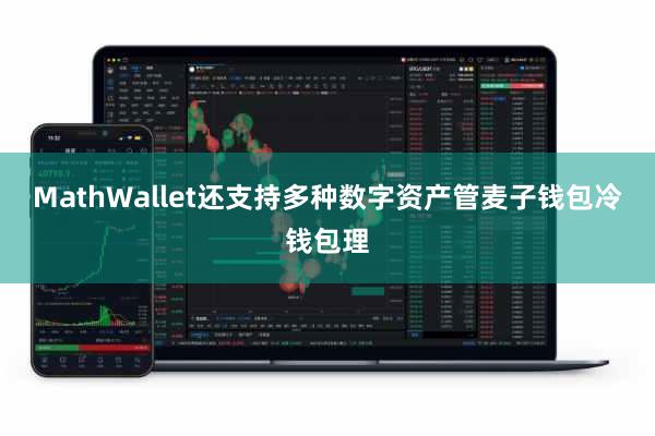 MathWallet还支持多种数字资产管麦子钱包冷钱包理